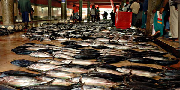 Рыбный рынок Мале